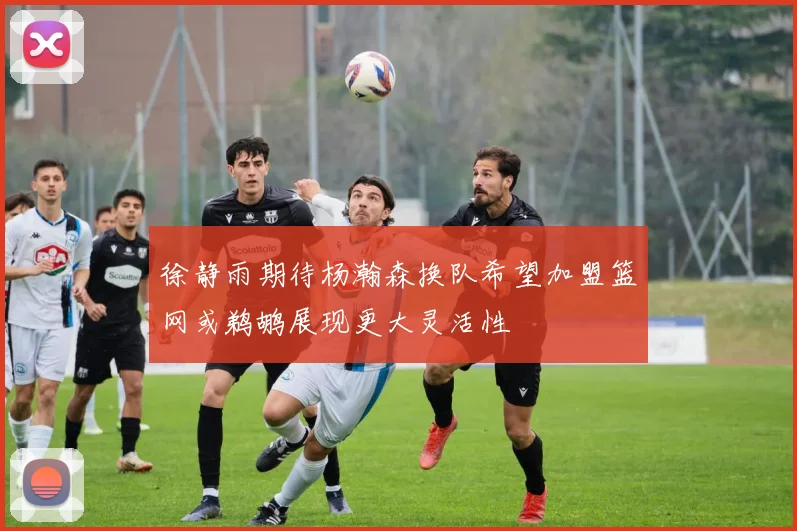 徐静雨期待杨瀚森换队希望加盟篮网或鹈鹕展现更大灵活性