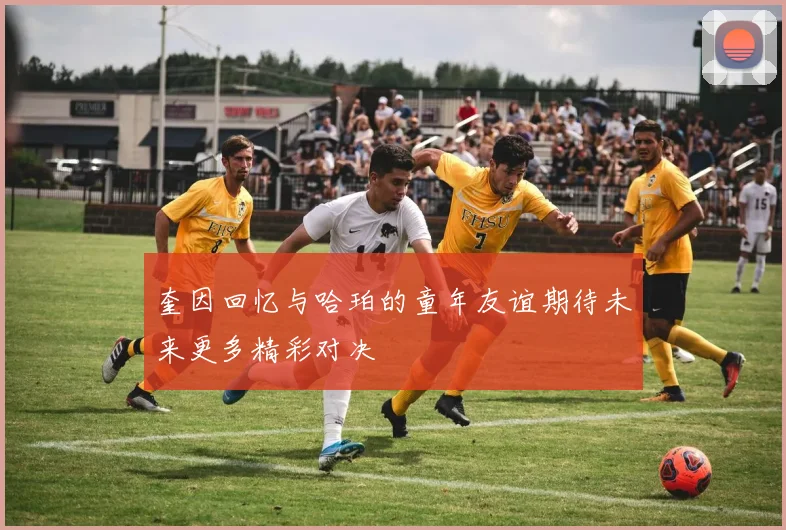 奎因回忆与哈珀的童年友谊期待未来更多精彩对决