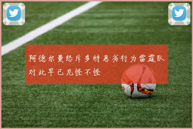 阿德尔曼怒斥多特恶劣行为雷霆队对此早已见怪不怪