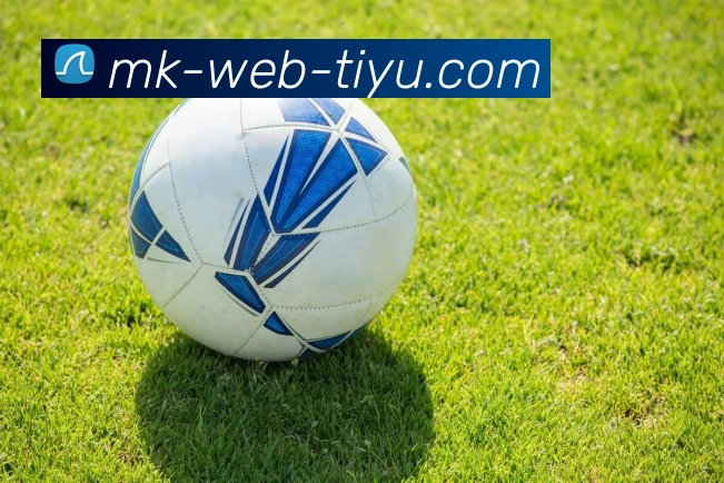 MK体育APP 封面图