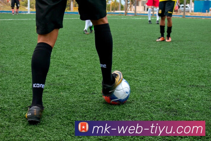 数据防护可视化